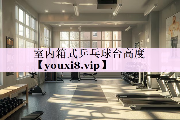 室内箱式乒乓球台高度