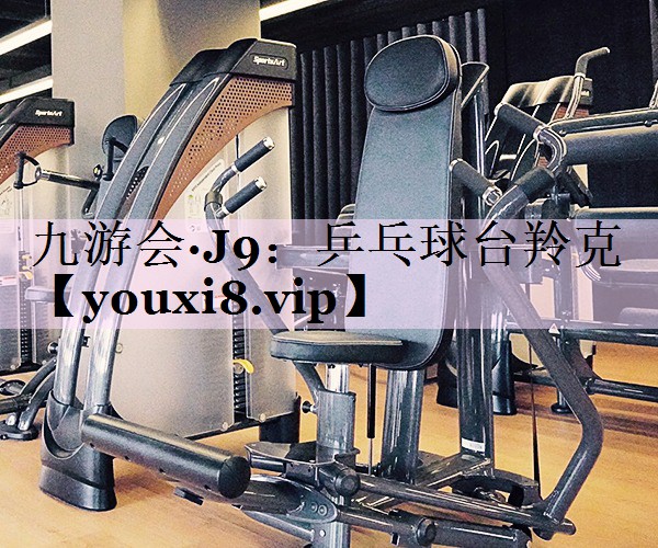 乒乓球台羚克